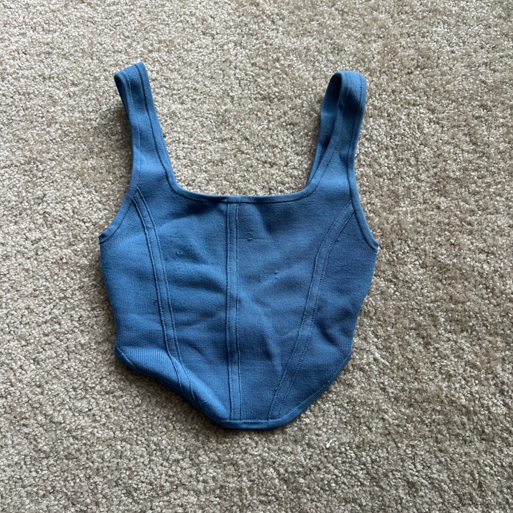 Aritzia Babaton Blue Sleeveless Crop Corset Top Aritzia Babaton